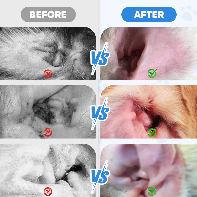 ACHETEZ-EN 2, OBTENEZ-EN 1 GRATUITEMENT Nettoyant pour oreilles pour animaux - Formule douce l'aloe vera apaisant pour chiens et chats, prvient les infections et les odeurs