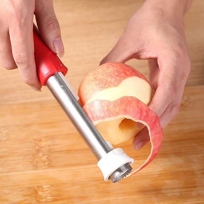 Videur et plucheur de fruits en acier inoxydable 2 en 1