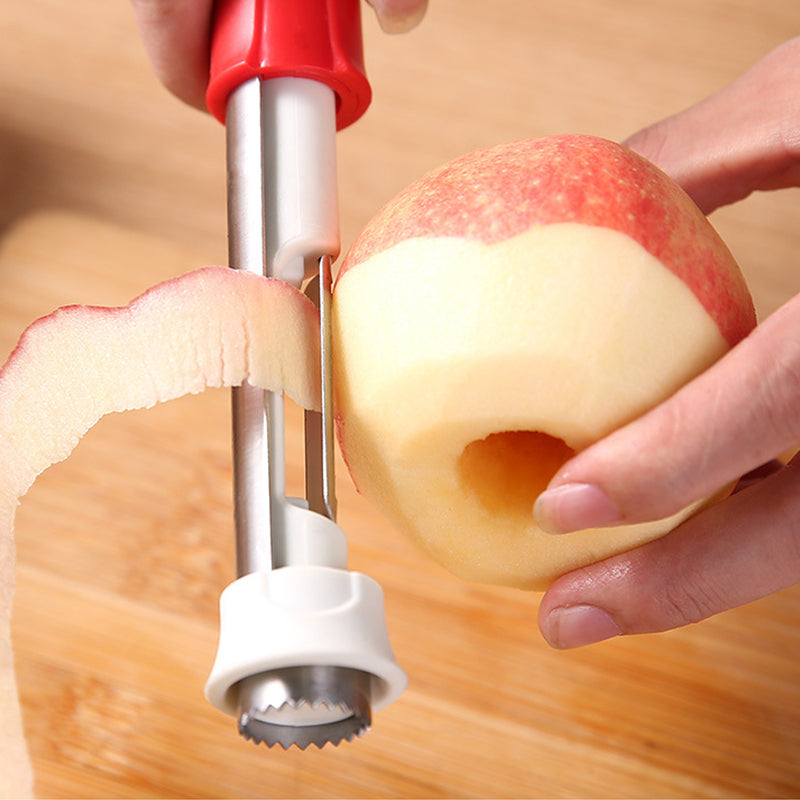 Videur et plucheur de fruits en acier inoxydable 2 en 1