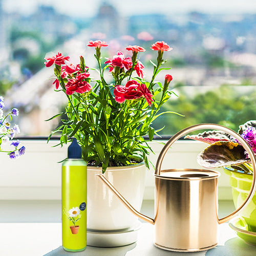 2026 Nouveaut Nutriments liquides pour plantes d'extrieur et d'intrieur