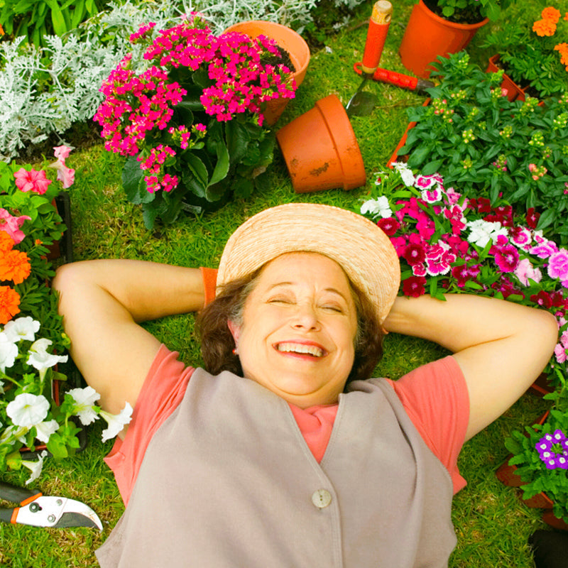 2026 Nouveaut Nutriments liquides pour plantes d'extrieur et d'intrieur