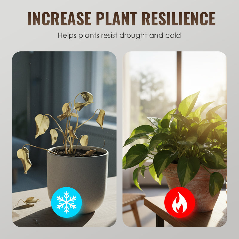 Activateur universel pour racines de plantes et amendement pour sols