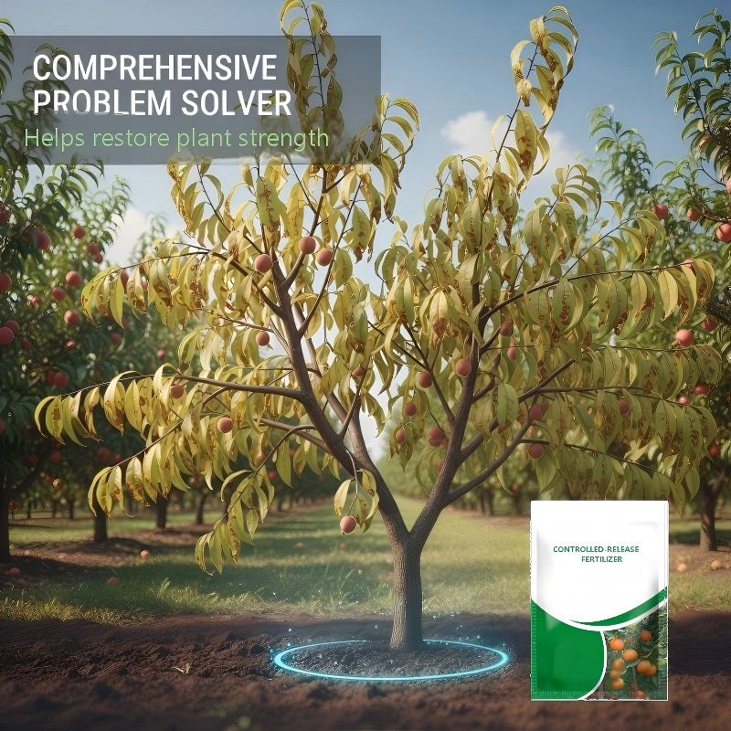 Engrais libration contr?le pour fruits