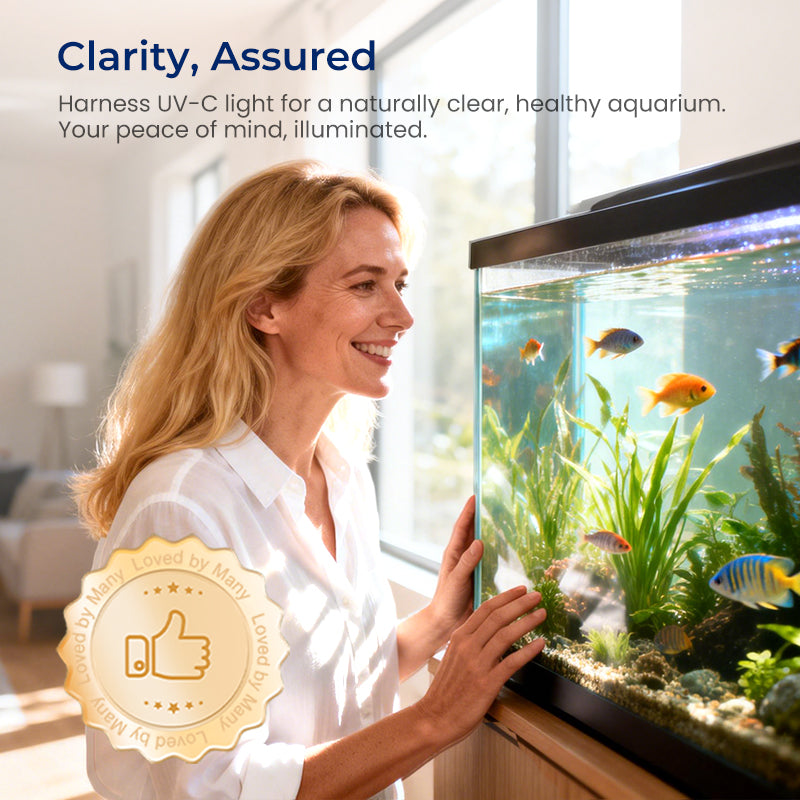 Lampe strilisante UV submersible avec minuterie pour aquariums