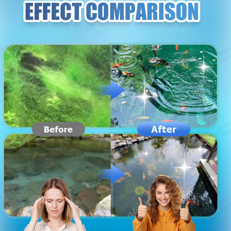 Comprims effervescents pour purificateur d'eau d'aquarium et de bassin