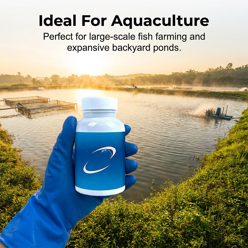Comprims effervescents pour purificateur d'eau d'aquarium et de bassin