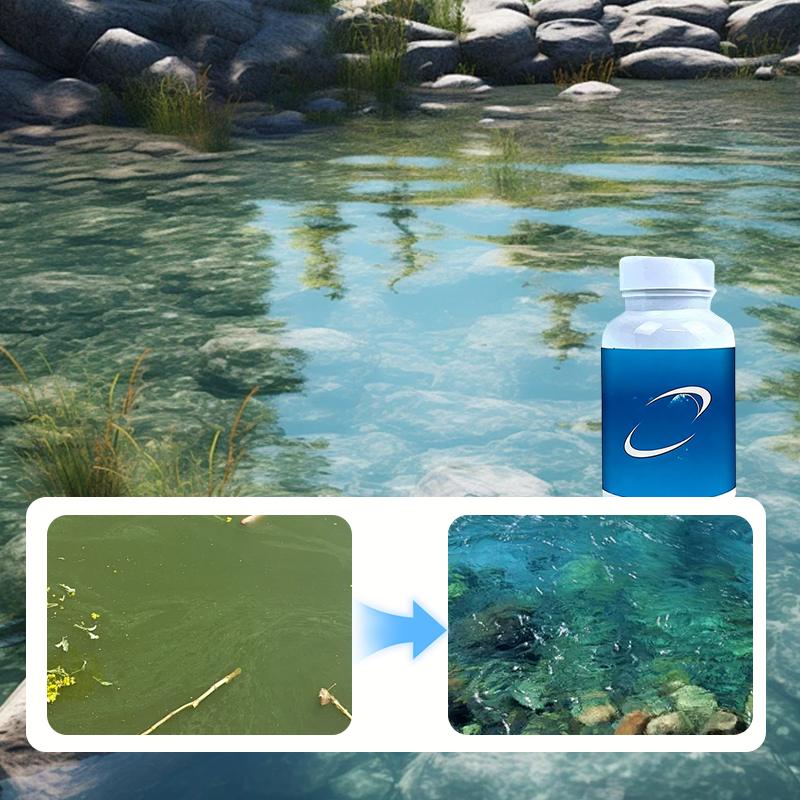 Comprims effervescents pour purificateur d'eau d'aquarium et de bassin