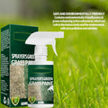 De 50 % de rduction Peinture en spray Pousbo? Green Grass