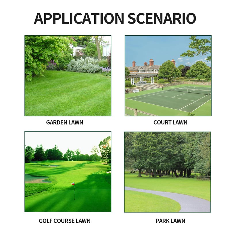 De 50 % de rduction Peinture en spray Pousbo? Green Grass
