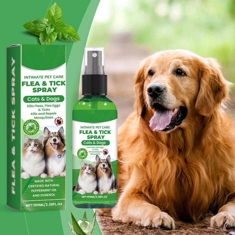 Natürliches Floh- und Zeckenspray für Hunde und Katzen Schützen Sie Ihr geliebtes Haustier vor Parasiten