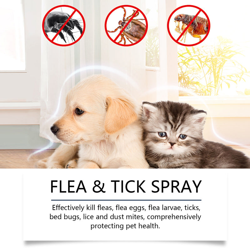 Natürliches Floh- und Zeckenspray für Hunde und Katzen Schützen Sie Ihr geliebtes Haustier vor Parasiten