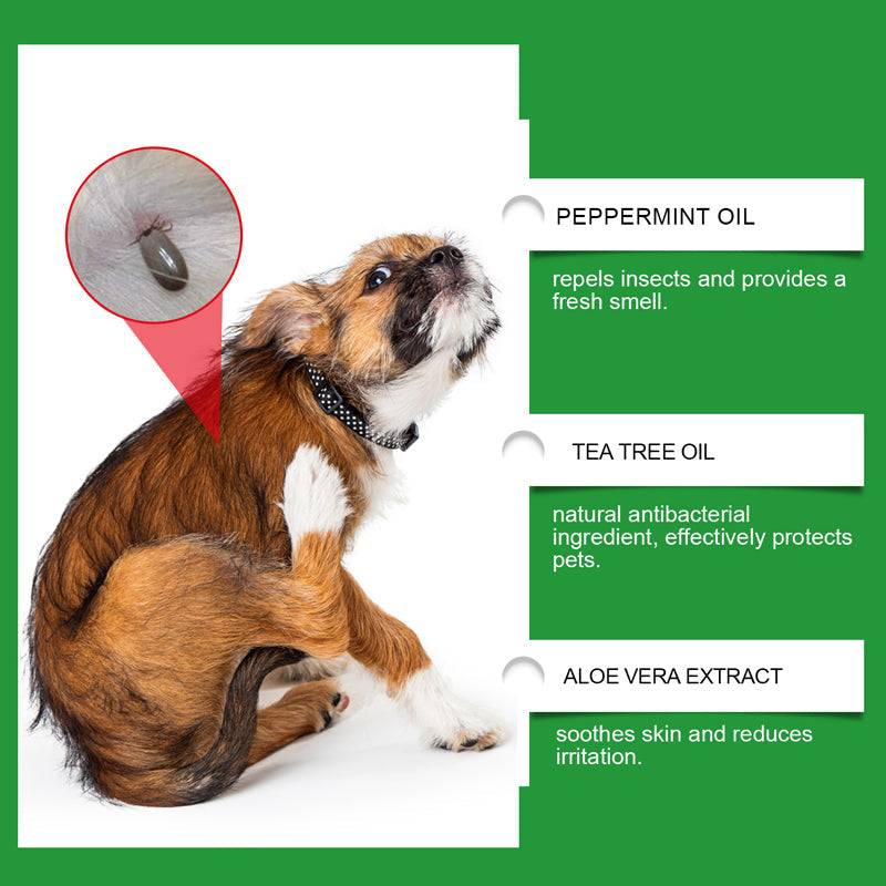 Spray naturel anti-puces et anti-tiques pour chiens et chats Protgez votre animal de compagnie bien-aim contre les parasites