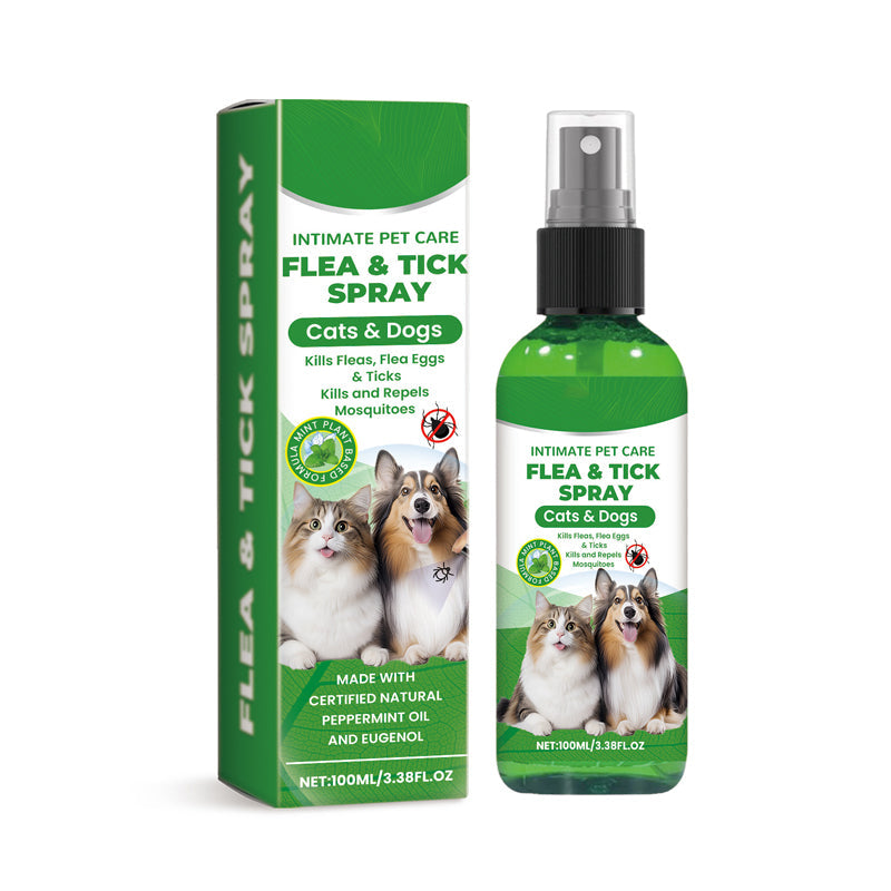 Natürliches Floh- und Zeckenspray für Hunde und Katzen Schützen Sie Ihr geliebtes Haustier vor Parasiten