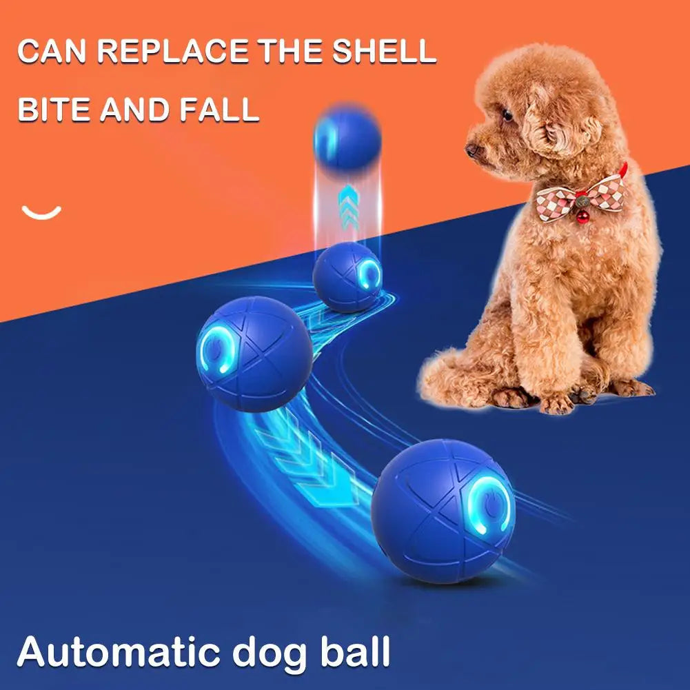 HOT SALE 2026 50.000+ VERKAUFT -50 % RABATT Intelligenter Hüpfball für Haustiere