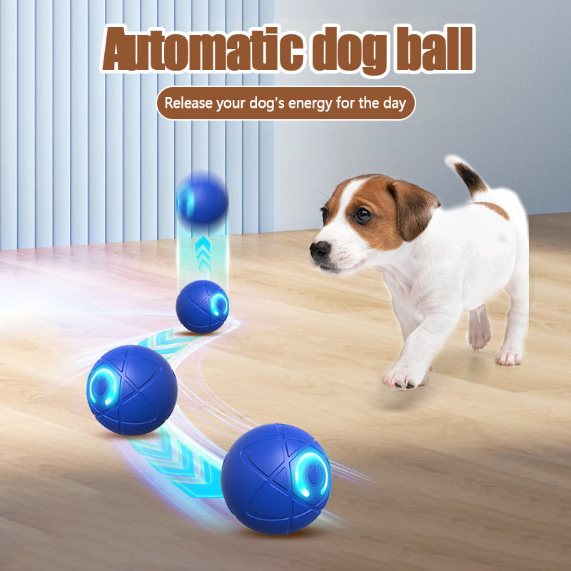 HOT SALE 2026 50.000+ VERKAUFT -50 % RABATT Intelligenter Hüpfball für Haustiere