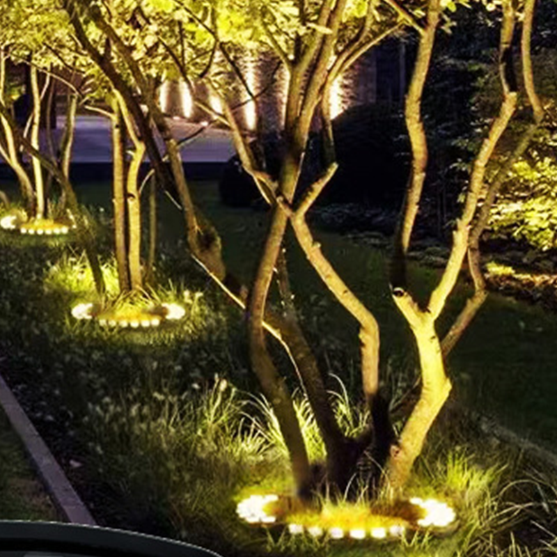 DE RDUCTION clairage annulaire pour arbres Spots tanches, lumire chaleureuse & design discret Transforme votre jardin en alle ferique la nuit
