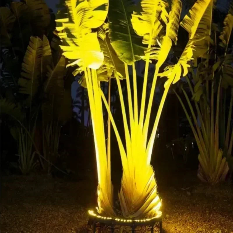 DE RDUCTION clairage annulaire pour arbres Spots tanches, lumire chaleureuse & design discret Transforme votre jardin en alle ferique la nuit